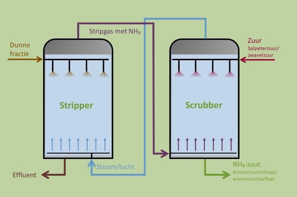 strippen scrubben2